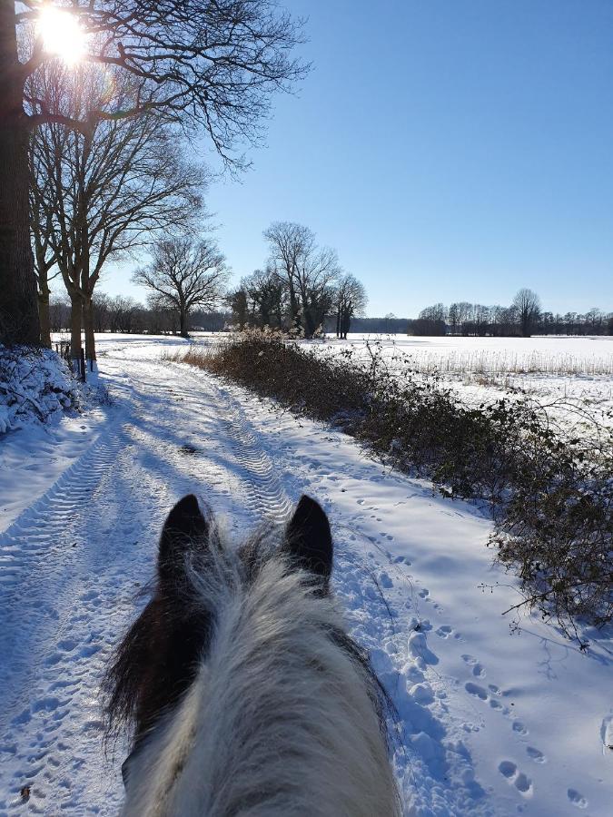 Leuk Boerderijtje Op Prachtige Plek, Nabij Natuurgebied รัวร์โล ภายนอก รูปภาพ